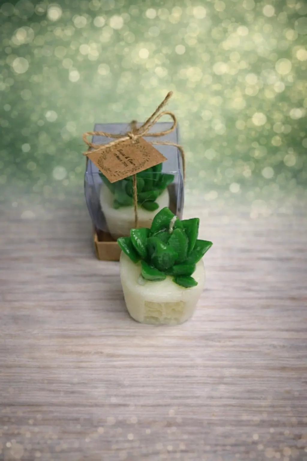 Sukulent Mum Model 3