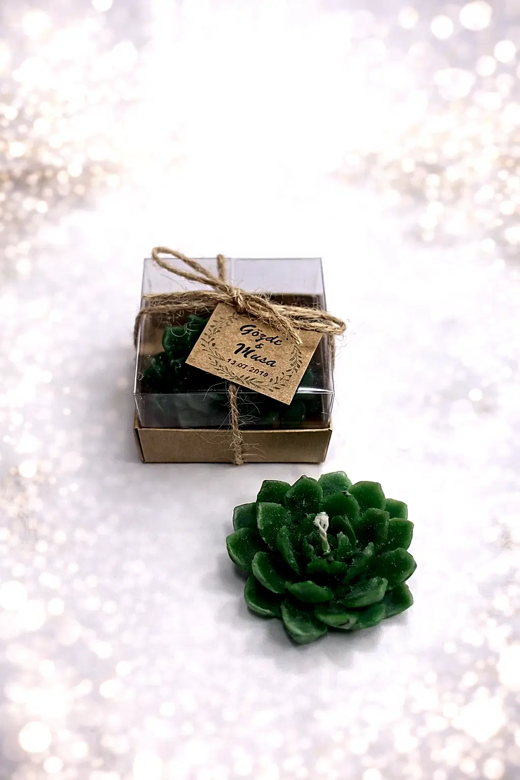 Sukulent Mum Model 10