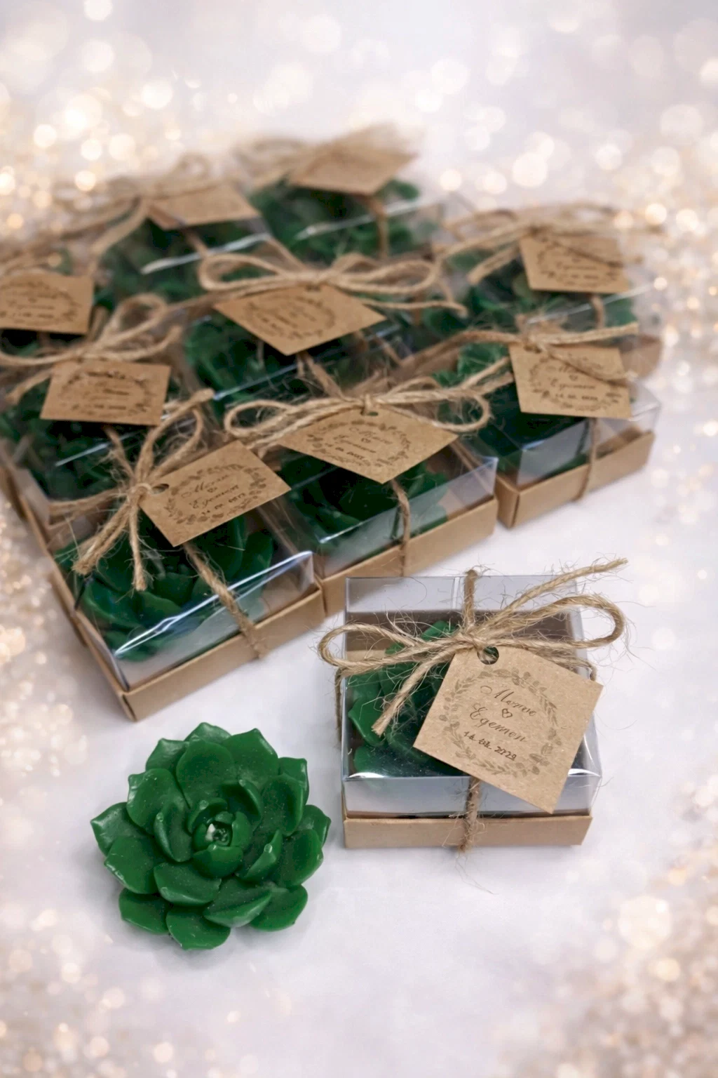 Sukulent Mum Model 10