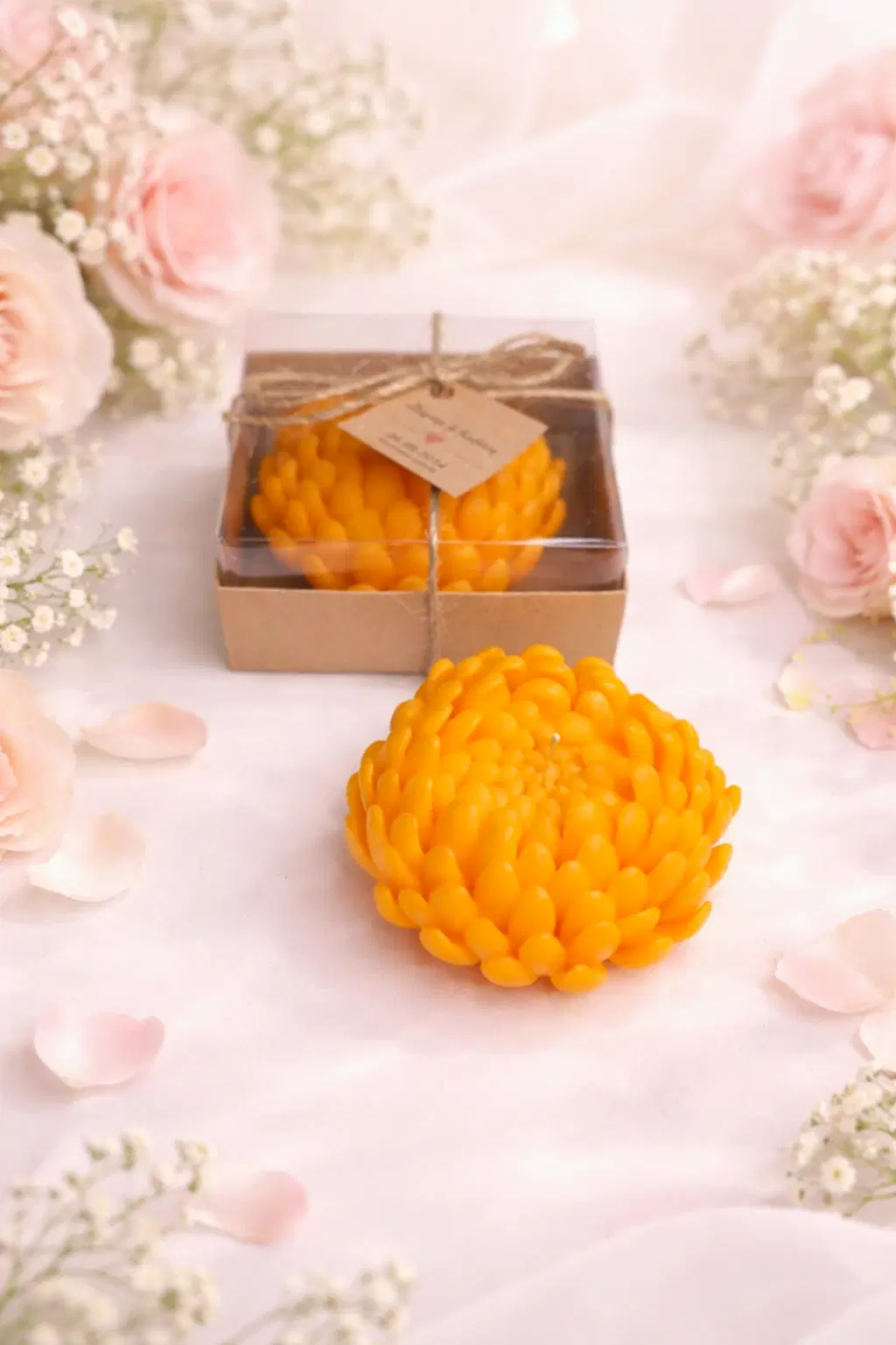 Sukulent Mum Model 16