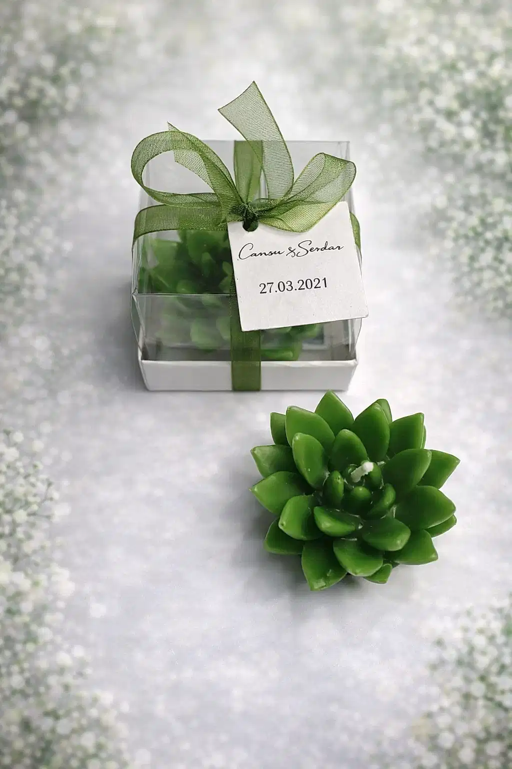 Sukulent Mum Model 12