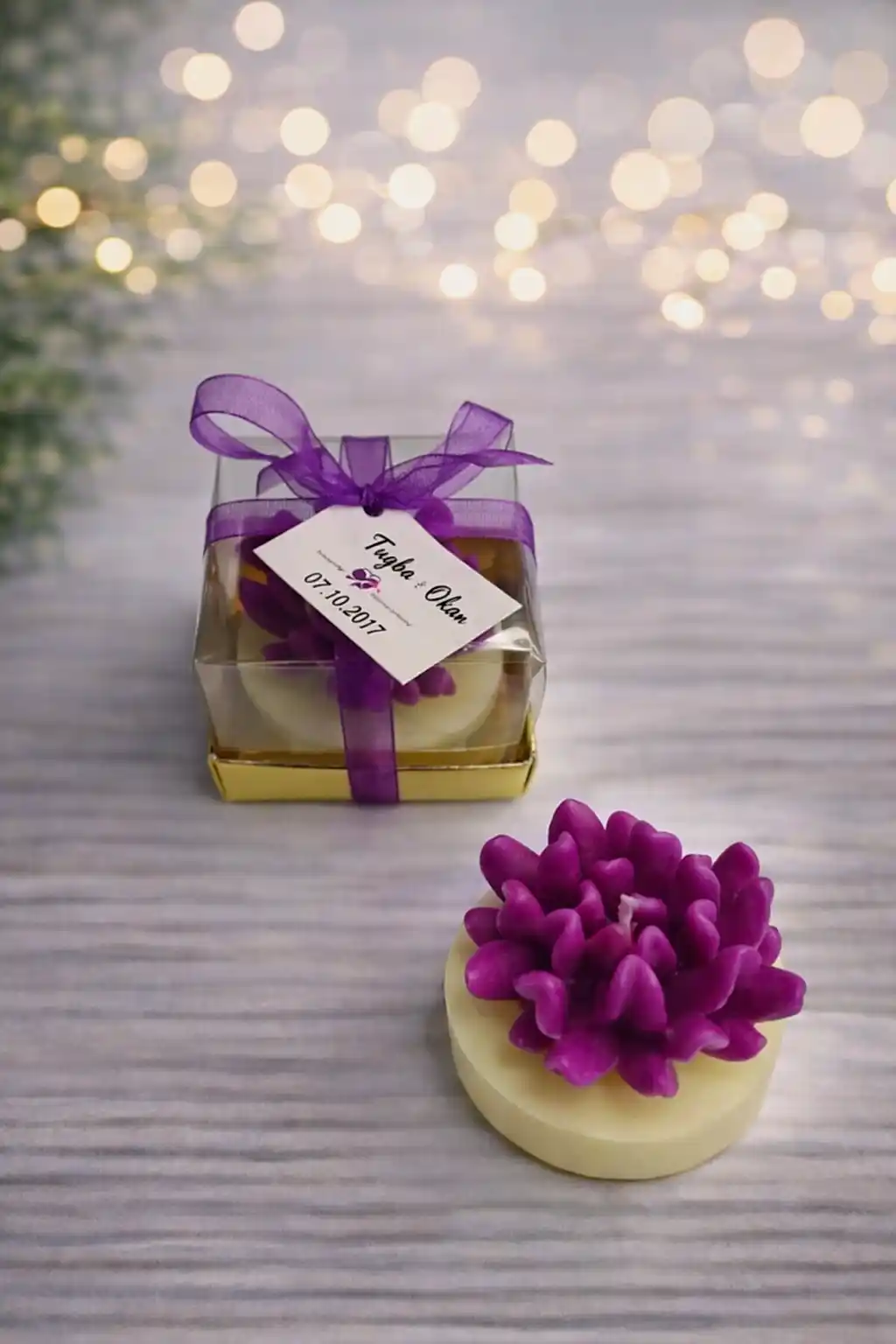 Sukulent Mum Model 14