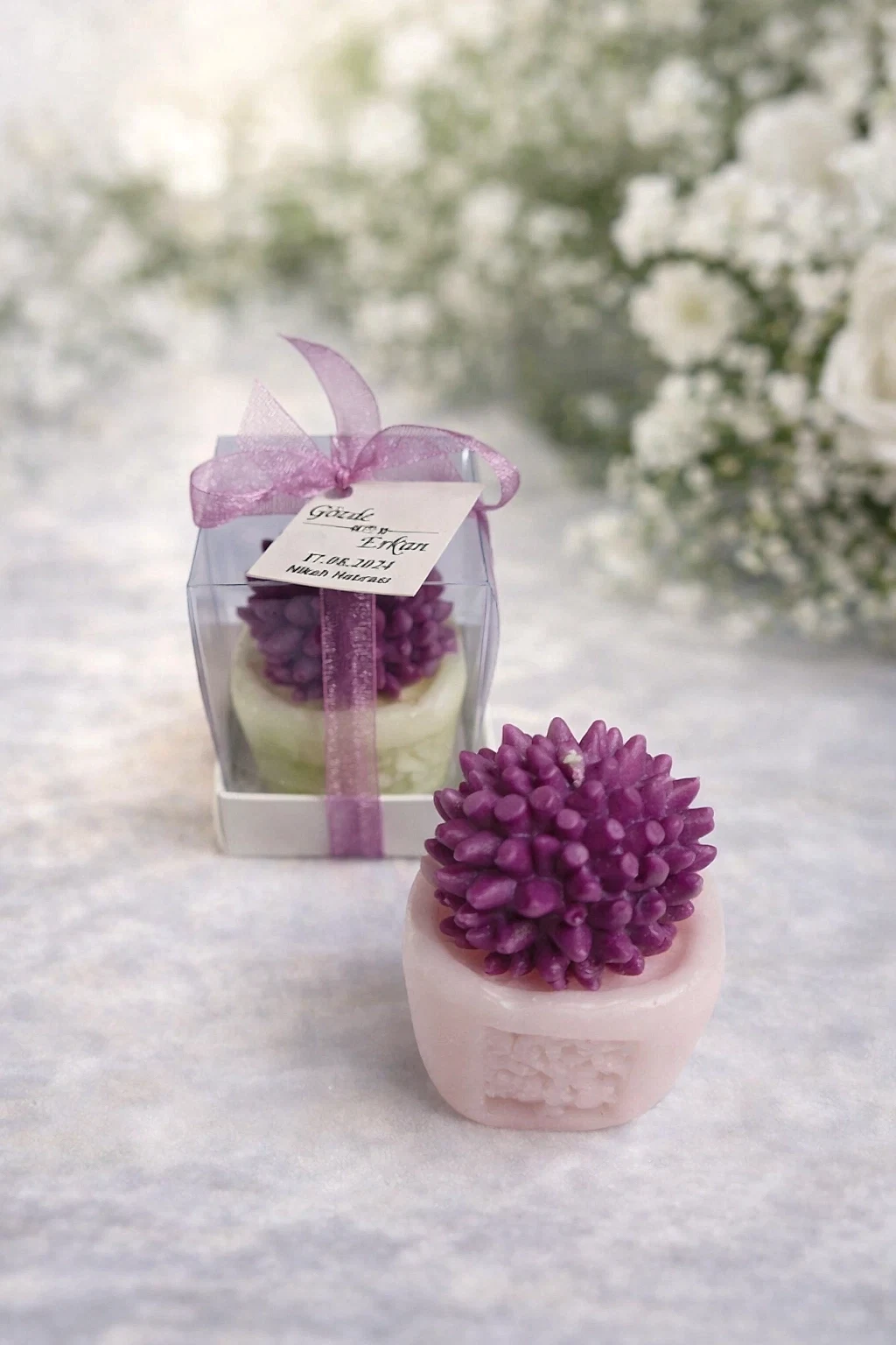 Sukulent Mum Model 2