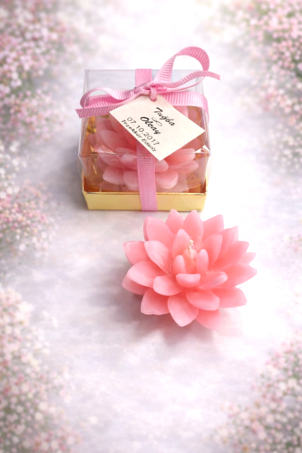 Sukulent Mum Model 12