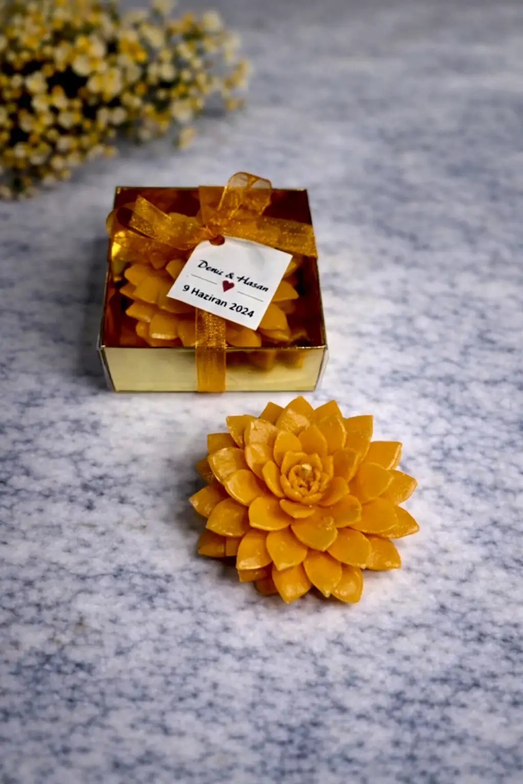 Sukulent Mum Model 9 