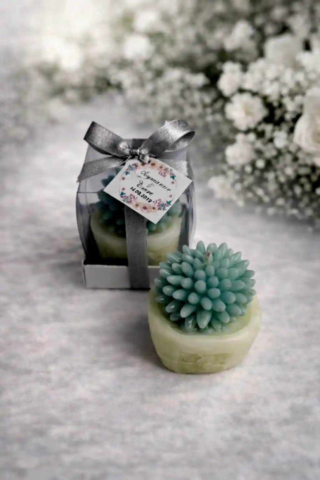 Sukulent Mum Model 2