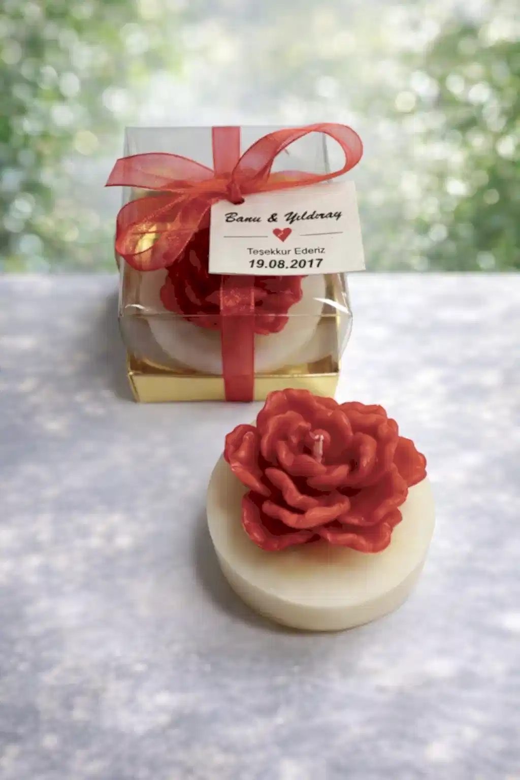 Sukulent Mum Model 13 