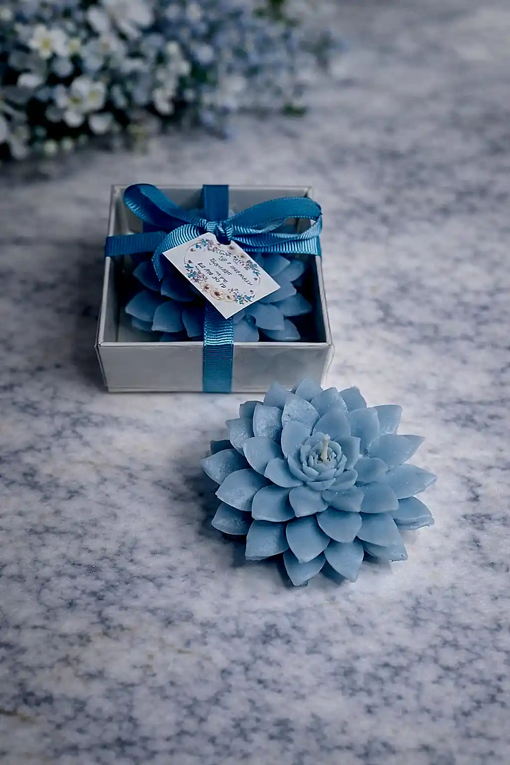 Sukulent Mum Model 9 