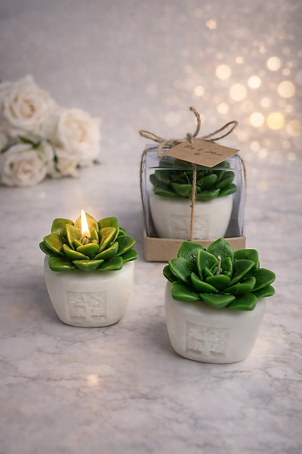 Sukulent Mum Model 6