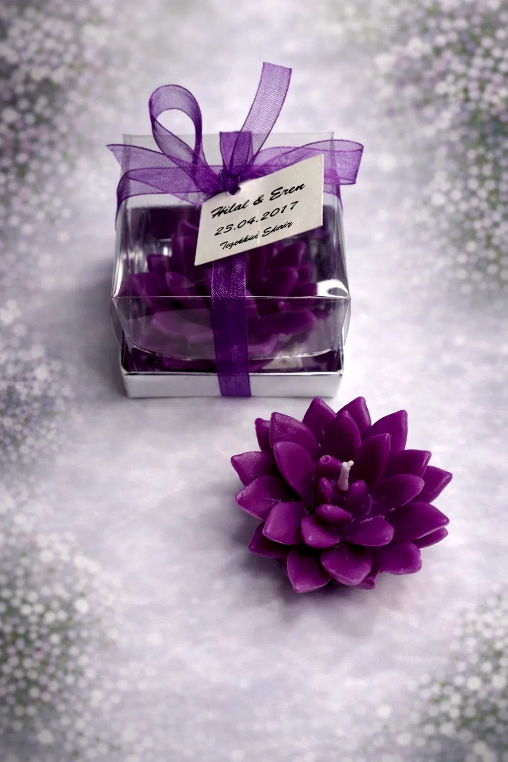 Sukulent Mum Model 12