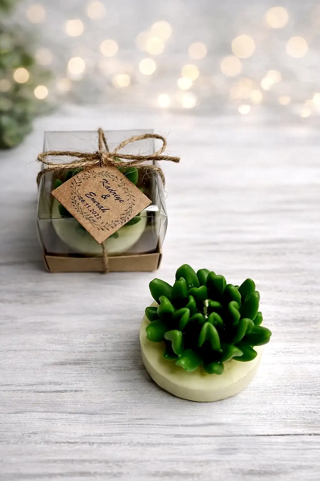 Sukulent Mum Model 14