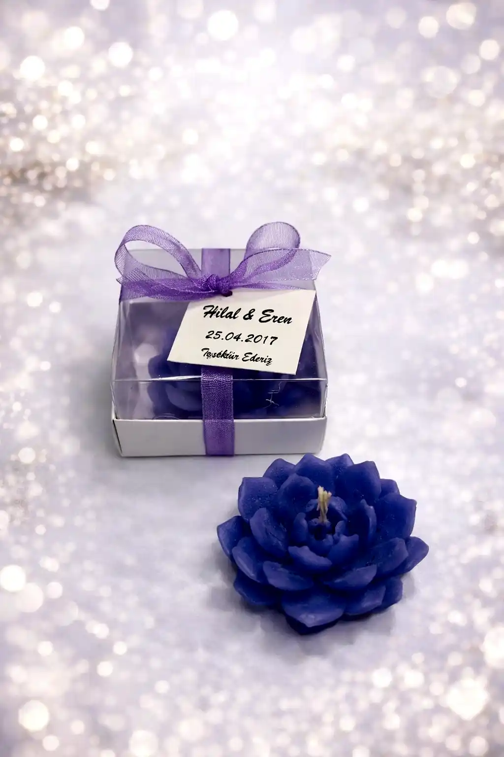 Sukulent Mum Model 10