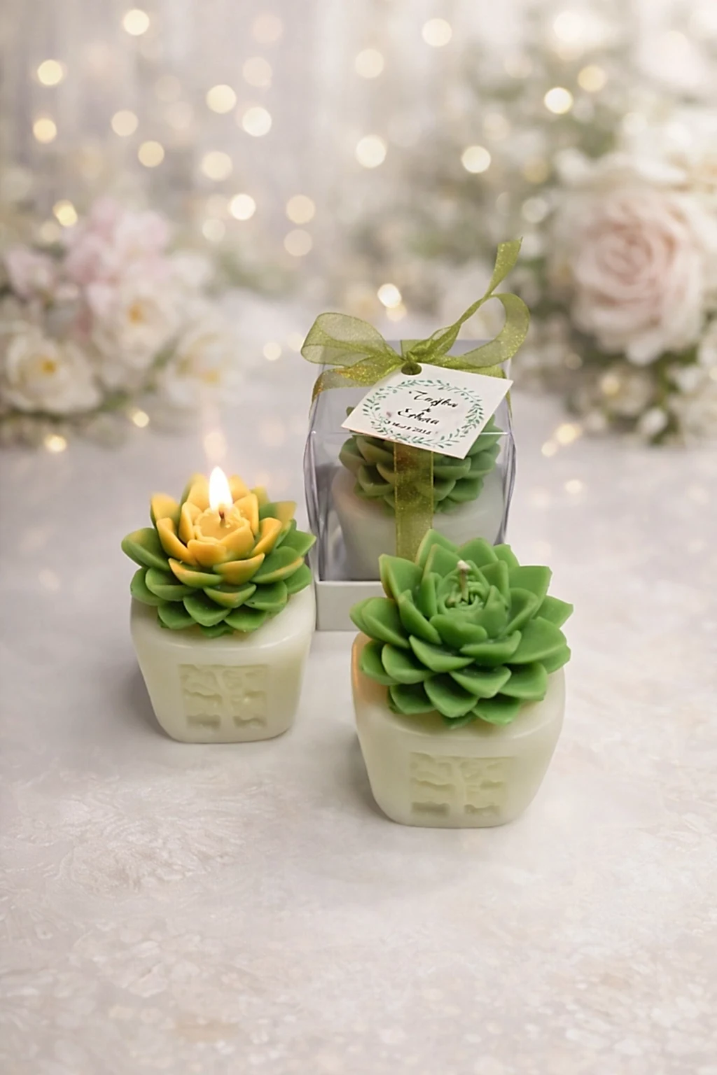 Sukulent Mum Model 4 