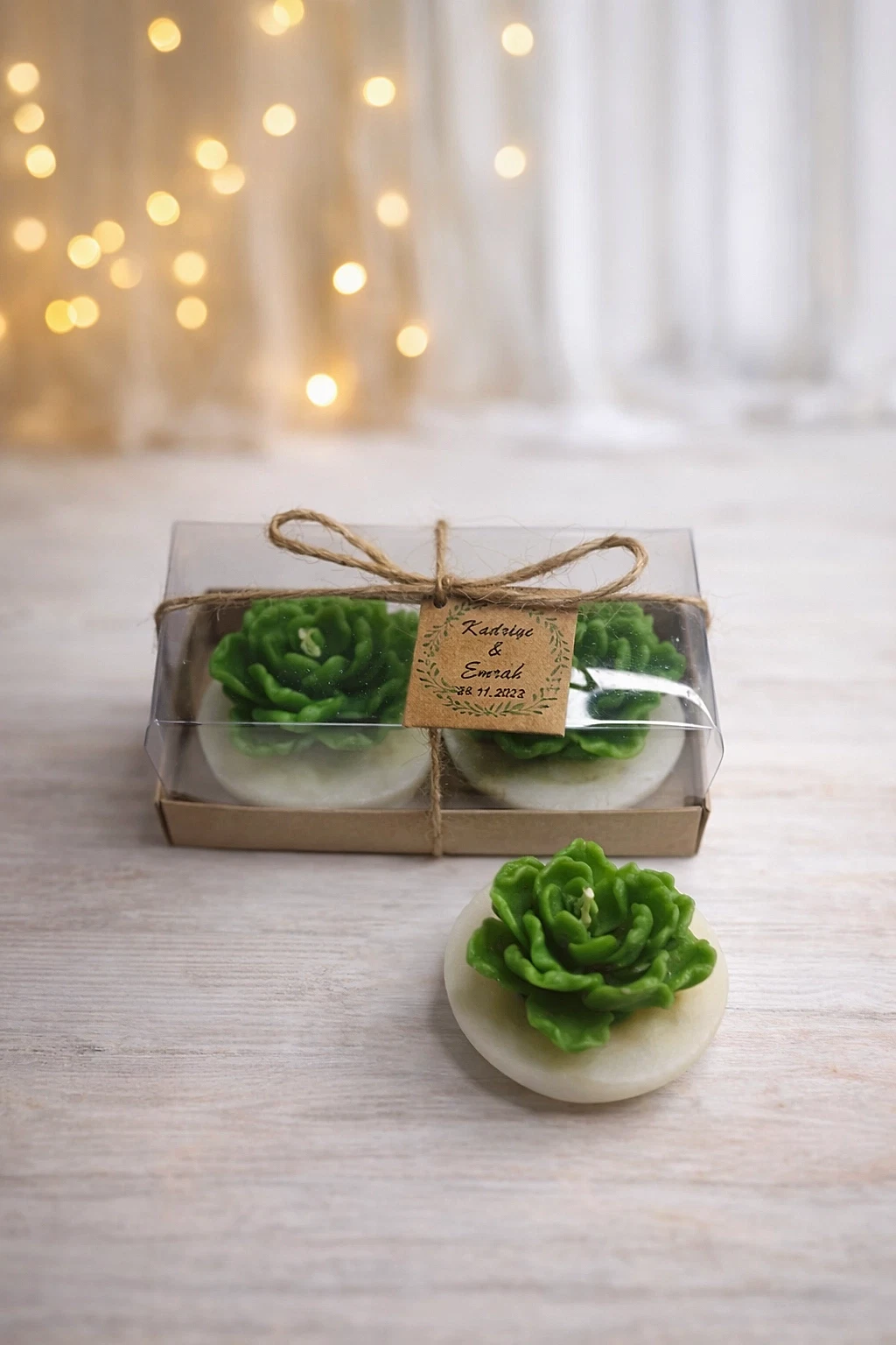 Sukulent Mum Model 13 İkili Set 