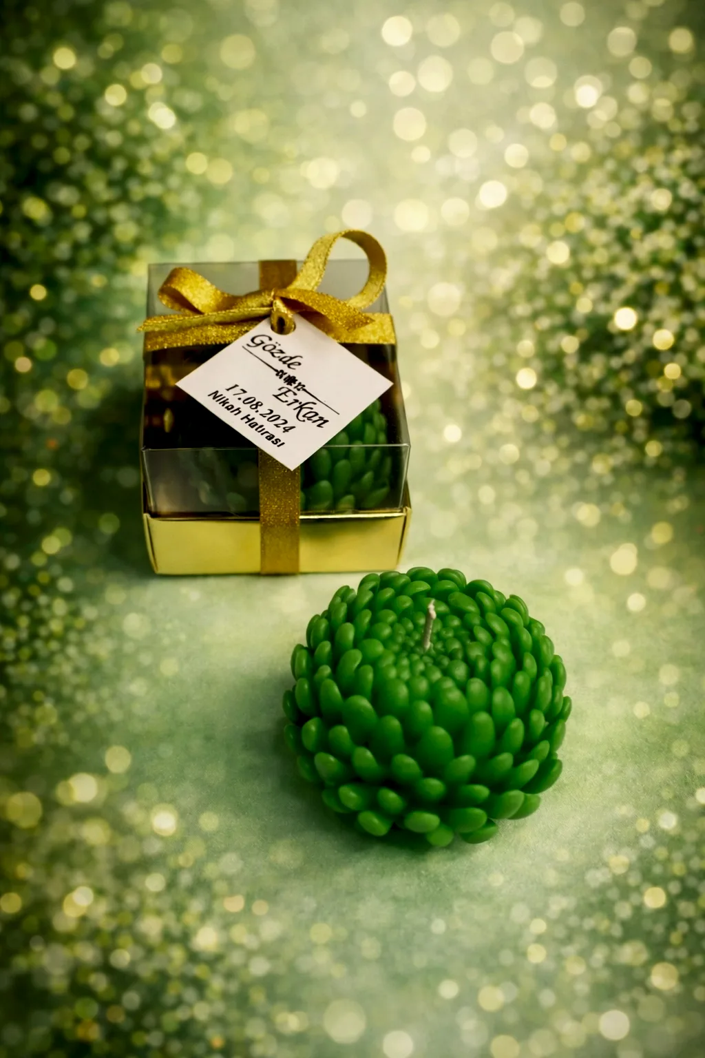 Sukulent Mum Model 15 