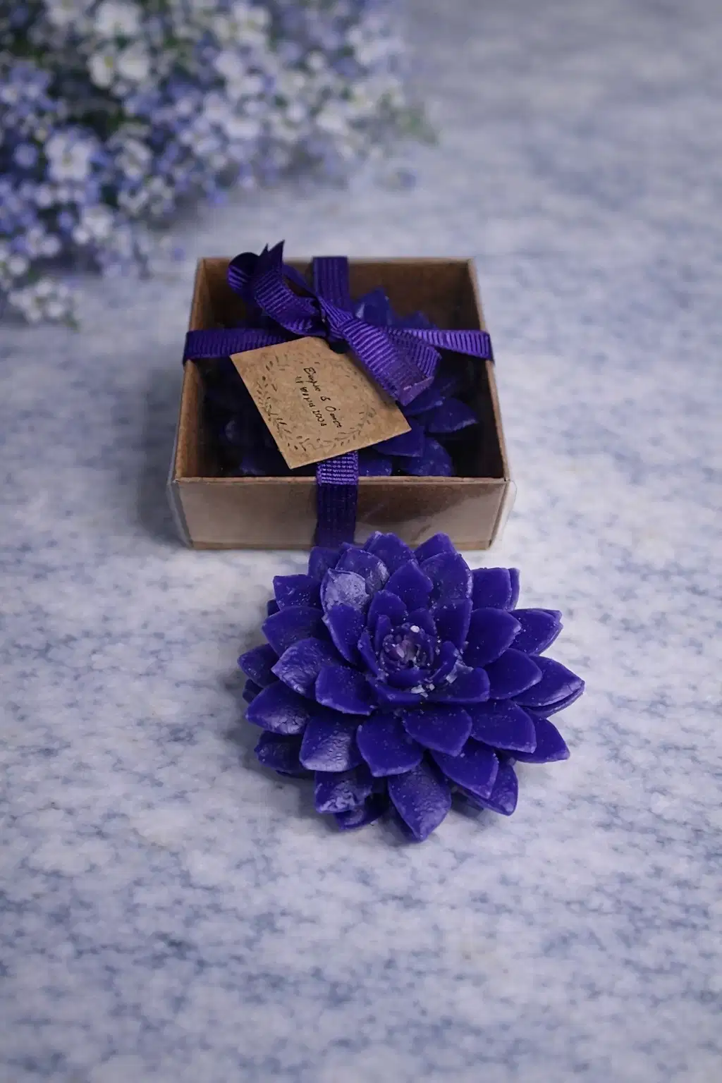 Sukulent Mum Model 9 