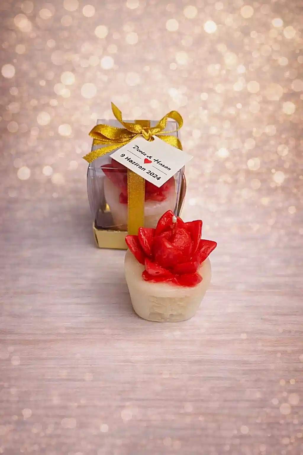 Sukulent Mum Model 3