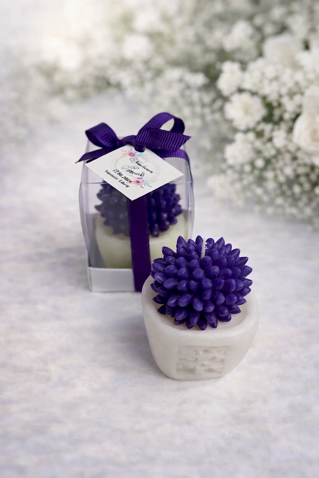 Sukulent Mum Model 2