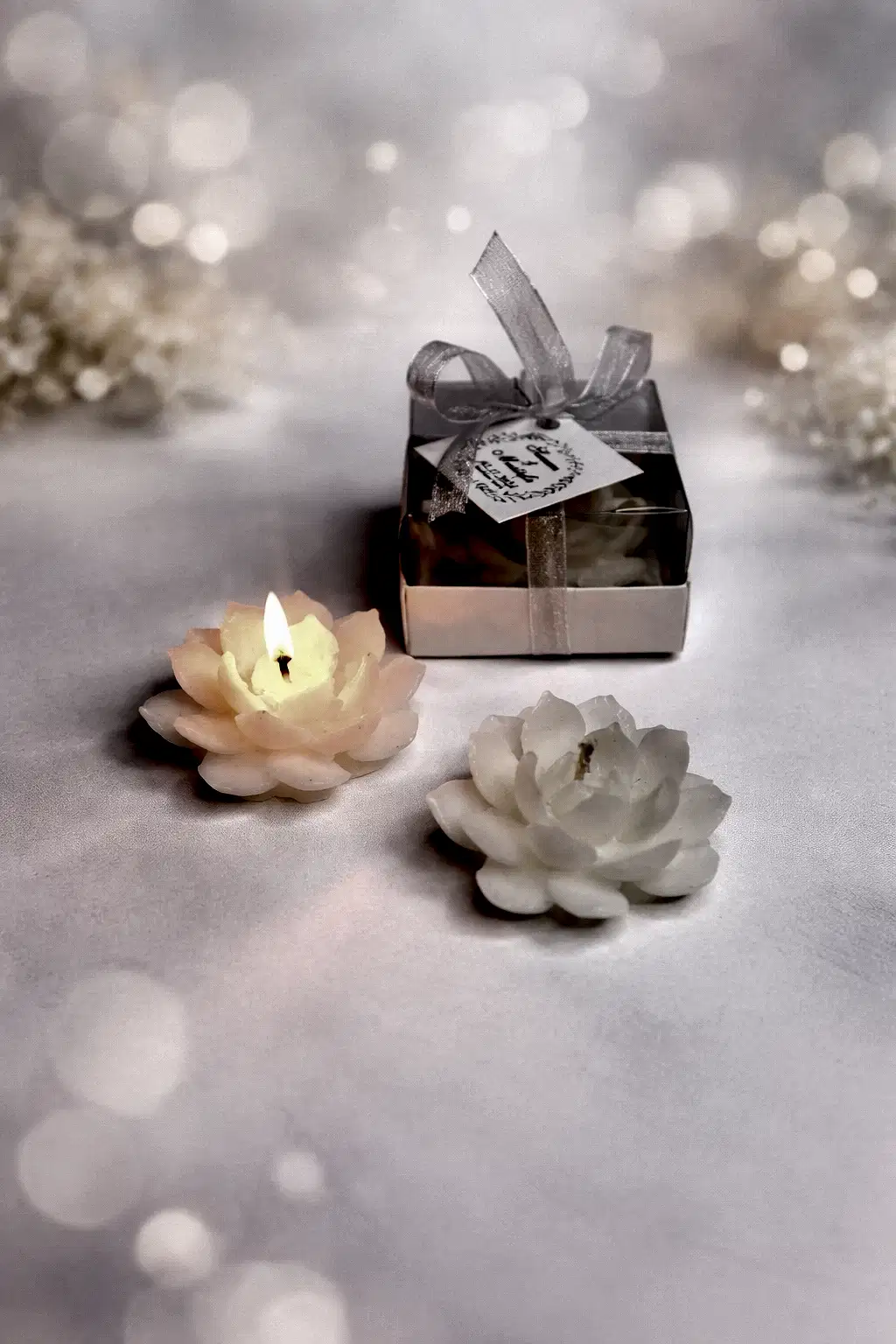 Sukulent Mum Model 10