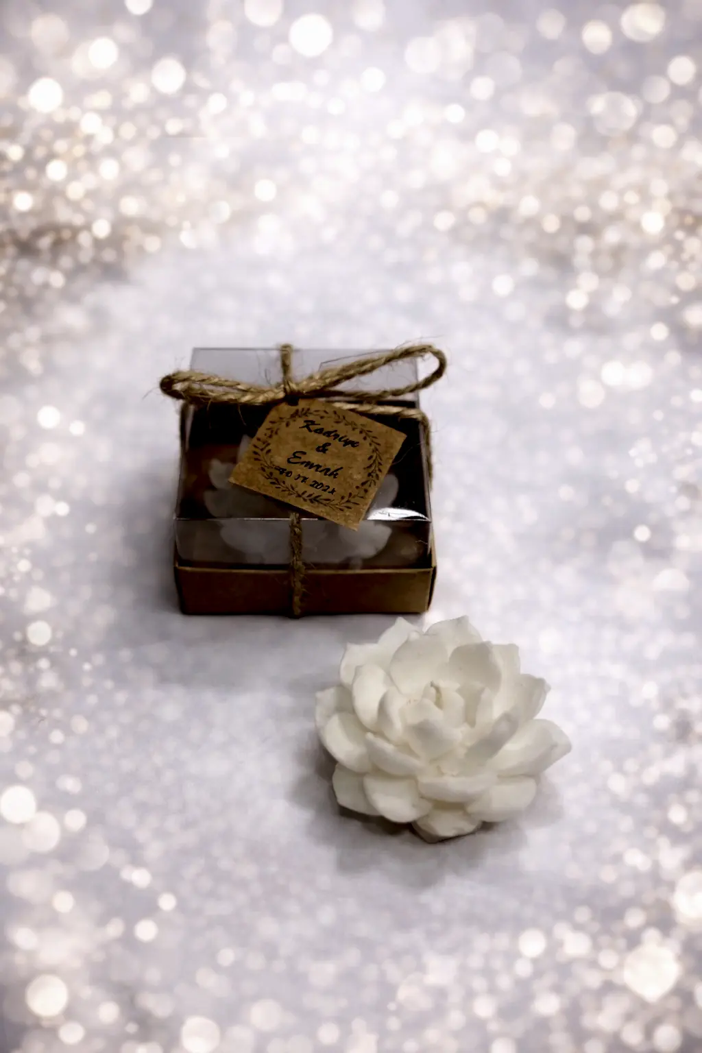 Sukulent Mum Model 10