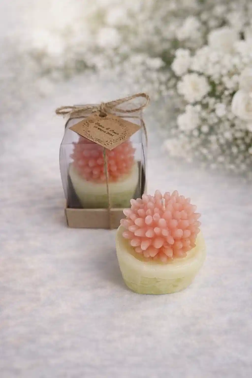 Sukulent Mum Model 2