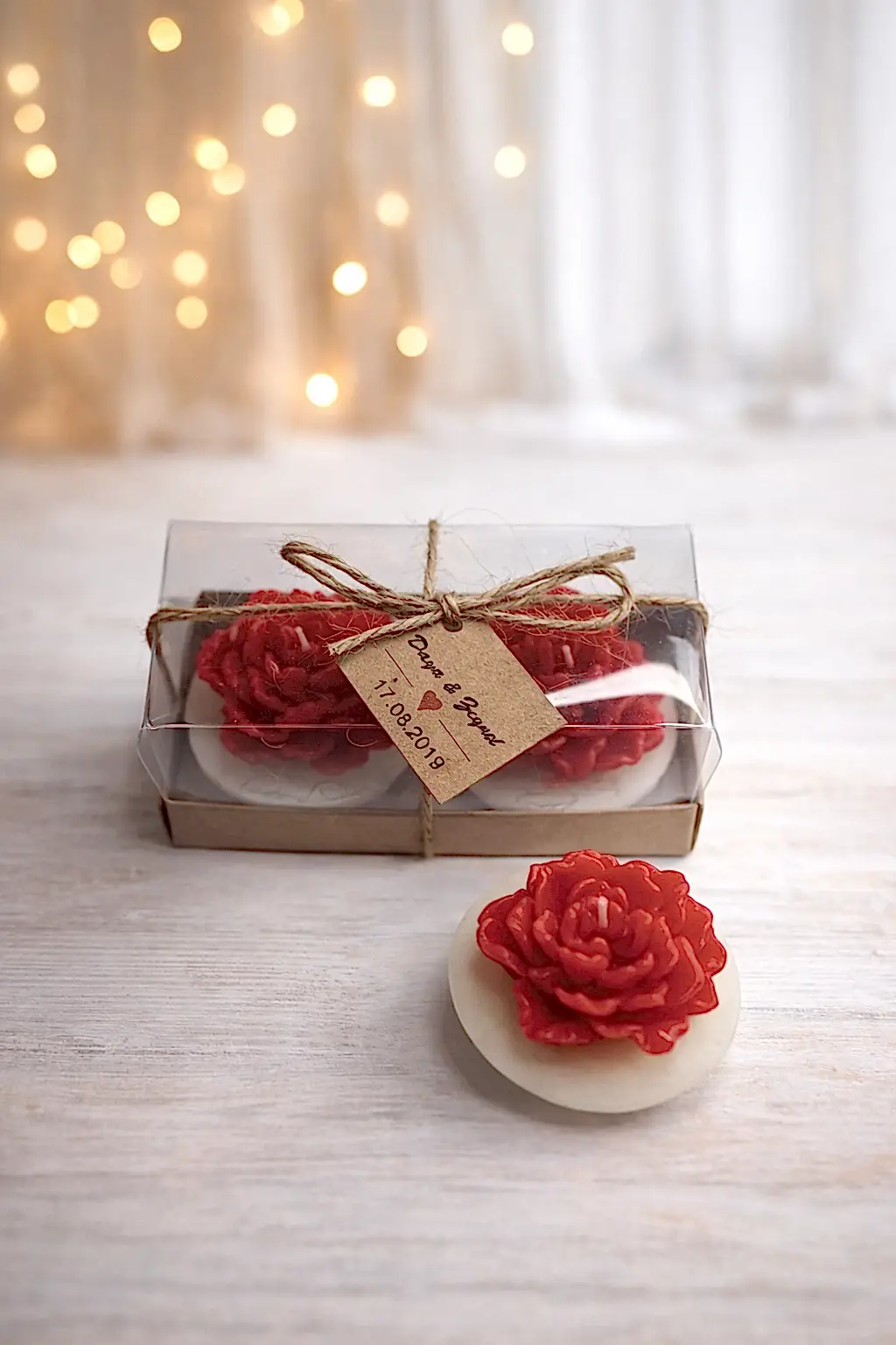 Sukulent Mum Model 13 İkili Set 