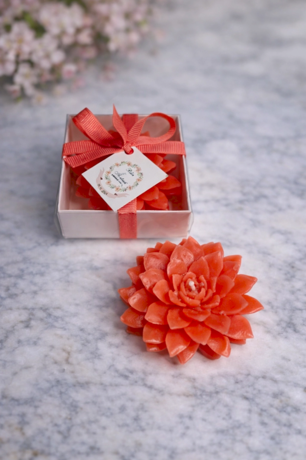 Sukulent Mum Model 9 