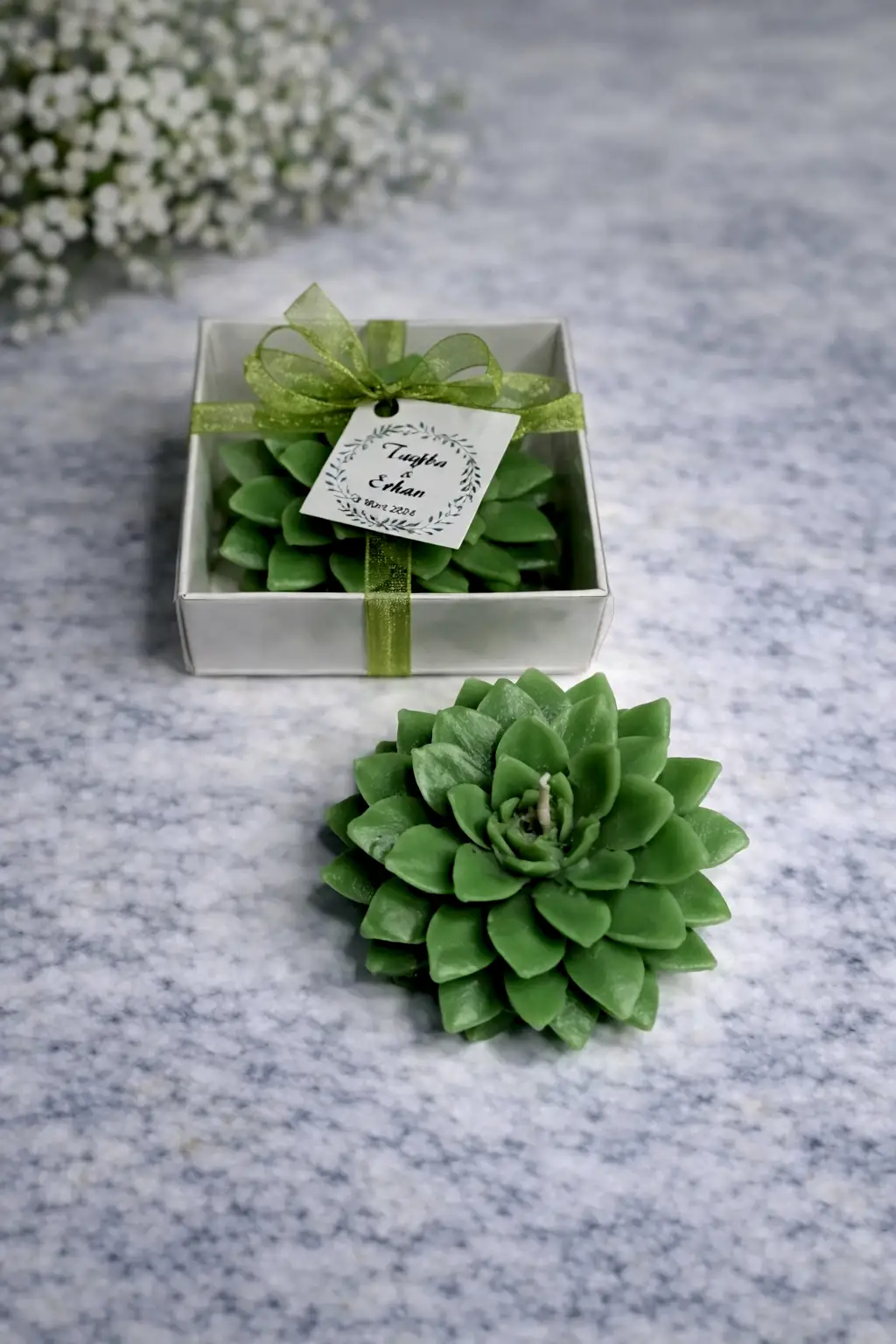 Sukulent Mum Model 9 