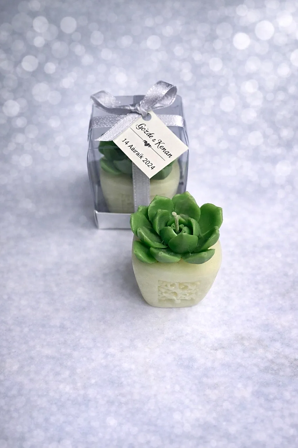 Sukulent Mum Model 7