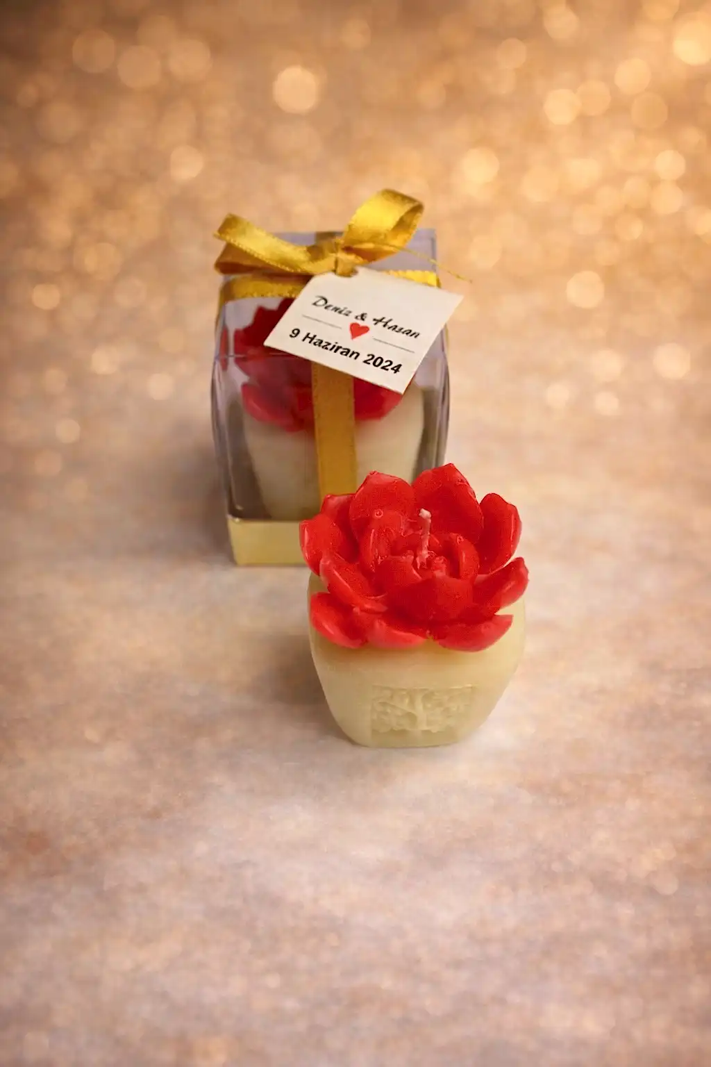 Sukulent Mum Model 7