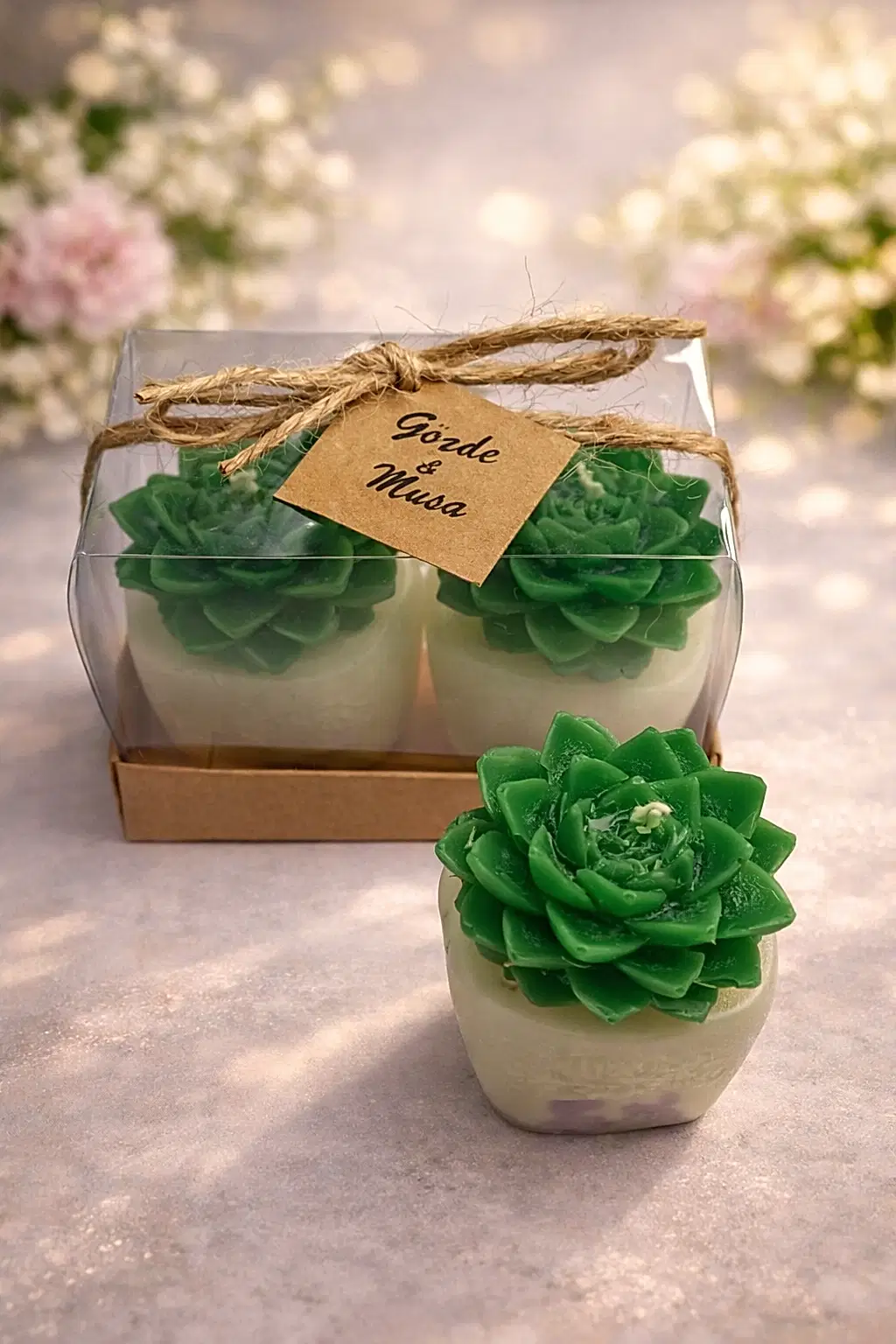 Sukulent Mum Model 4 İkili Set 