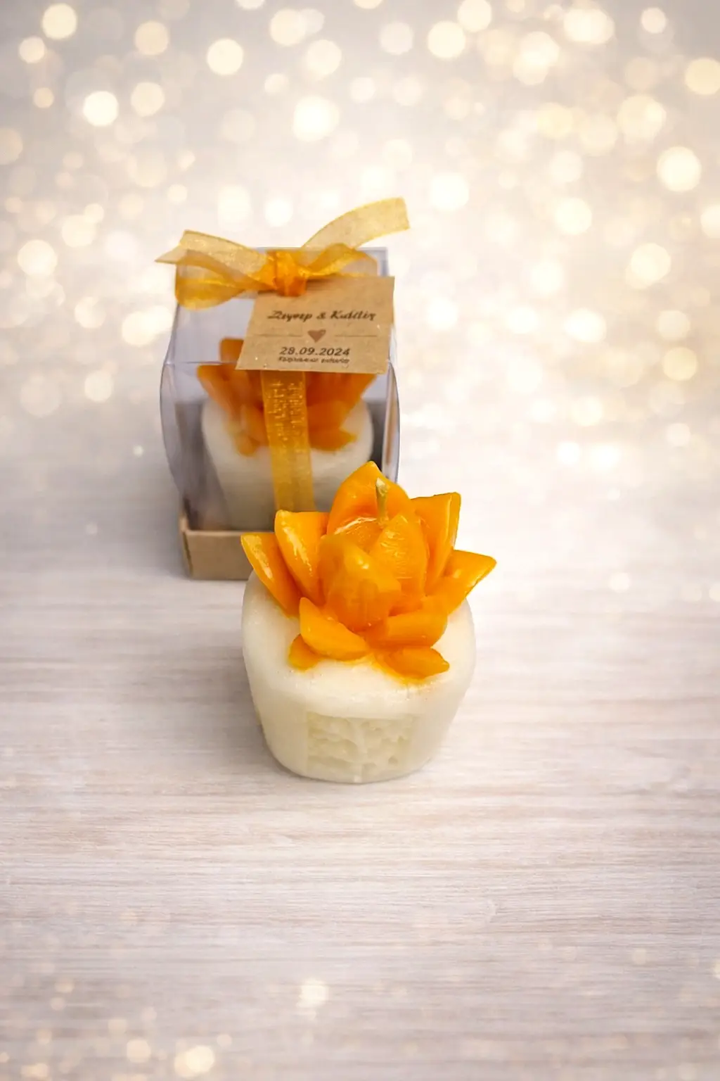 Sukulent Mum Model 3