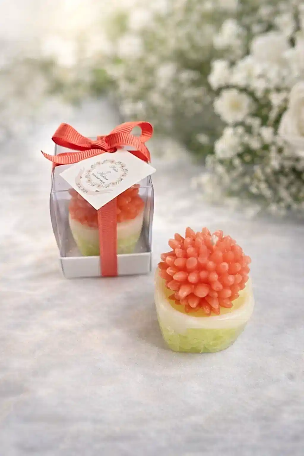 Sukulent Mum Model 2