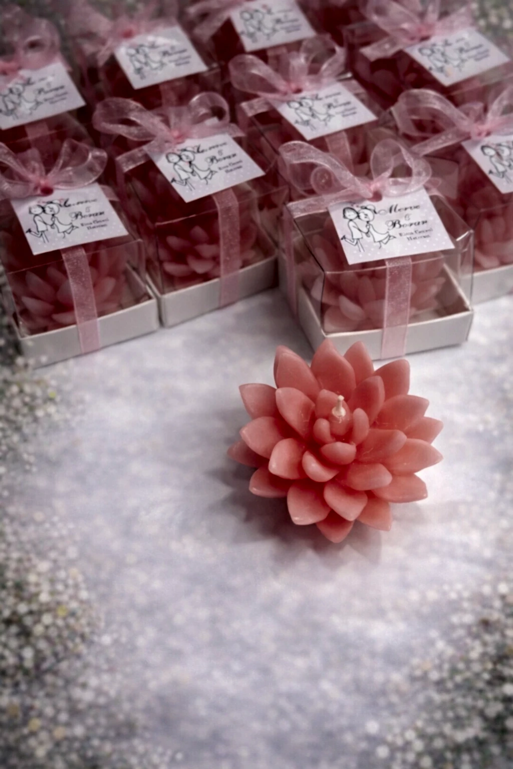 Sukulent Mum Model 12