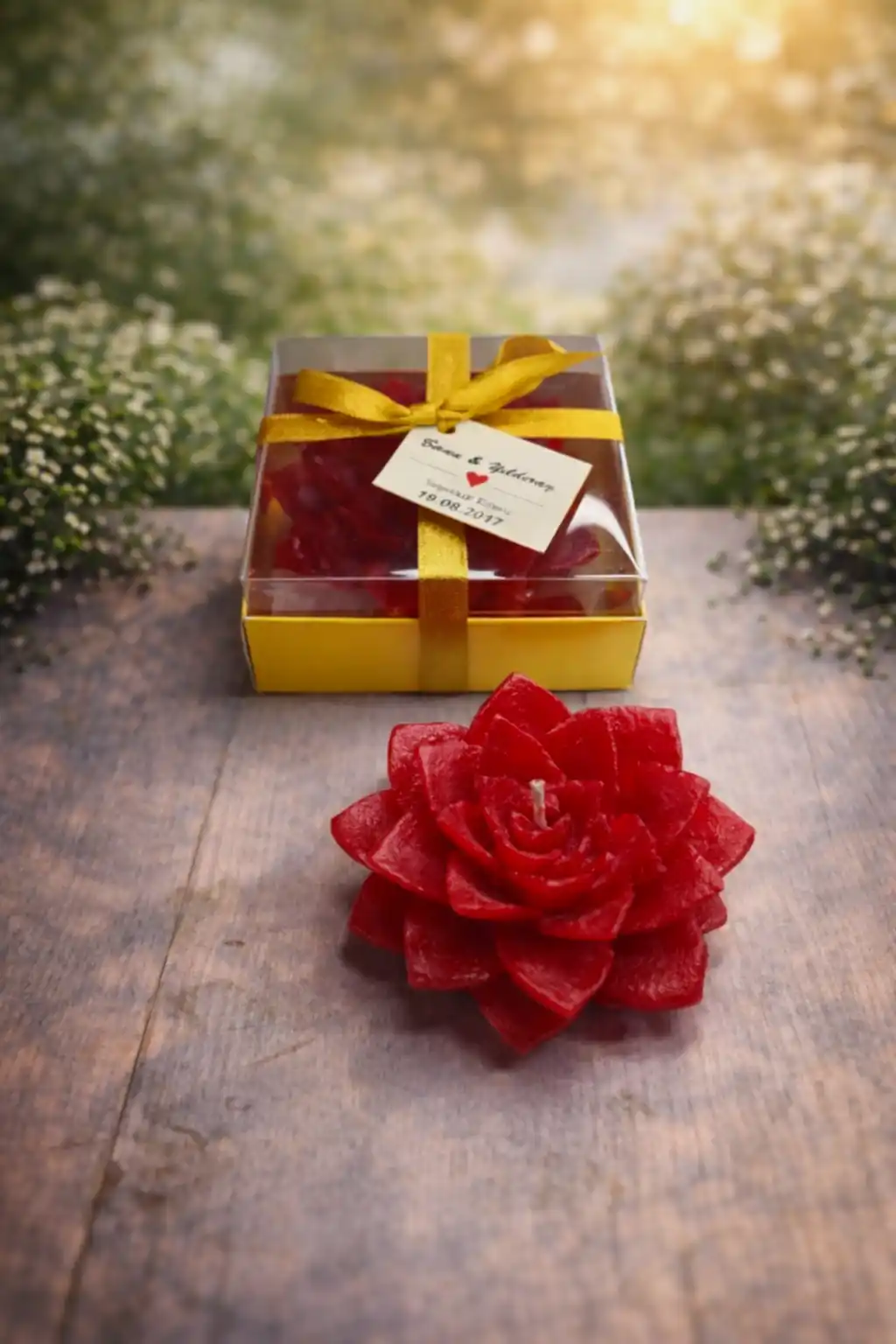 Sukulent Mum Model 8 