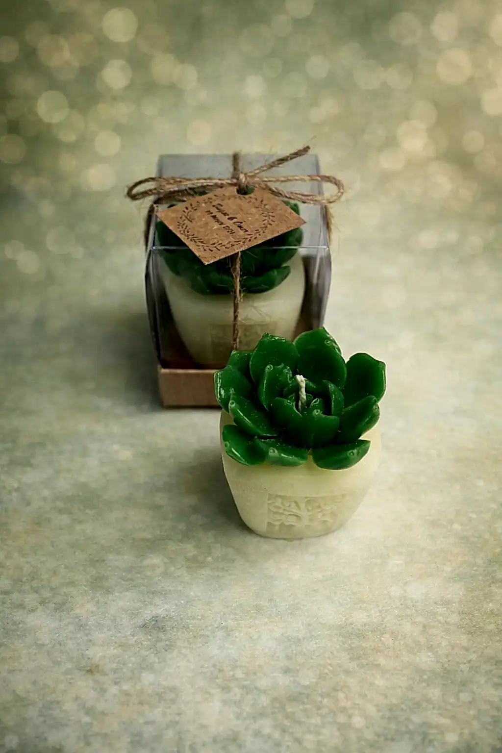 Sukulent Mum Model 7