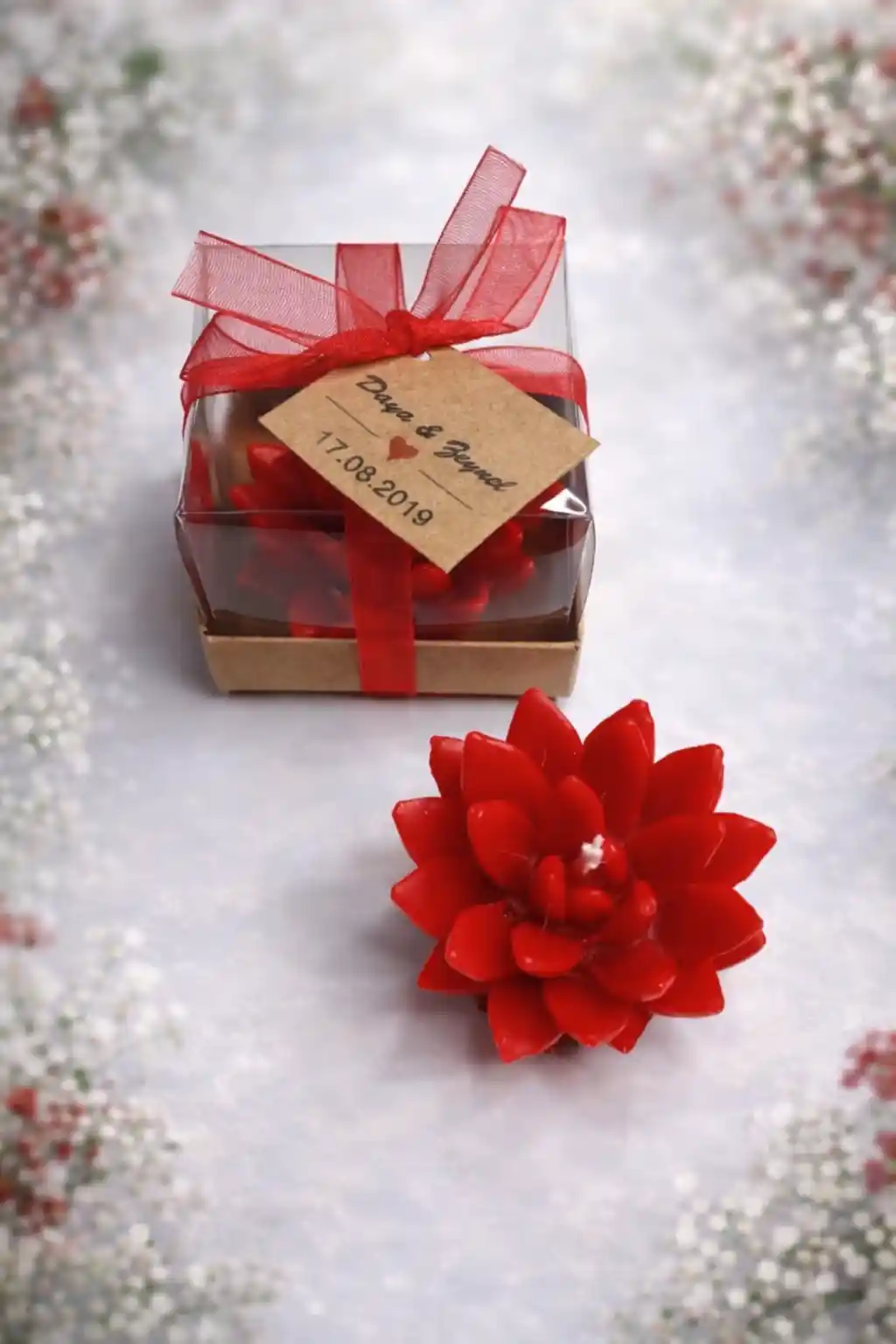 Sukulent Mum Model 12