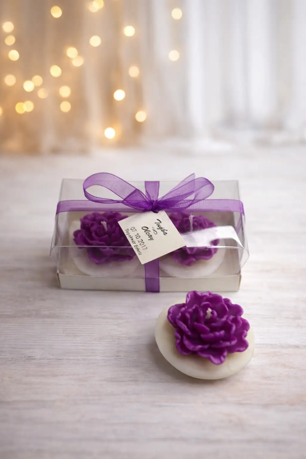 Sukulent Mum Model 13 İkili Set 