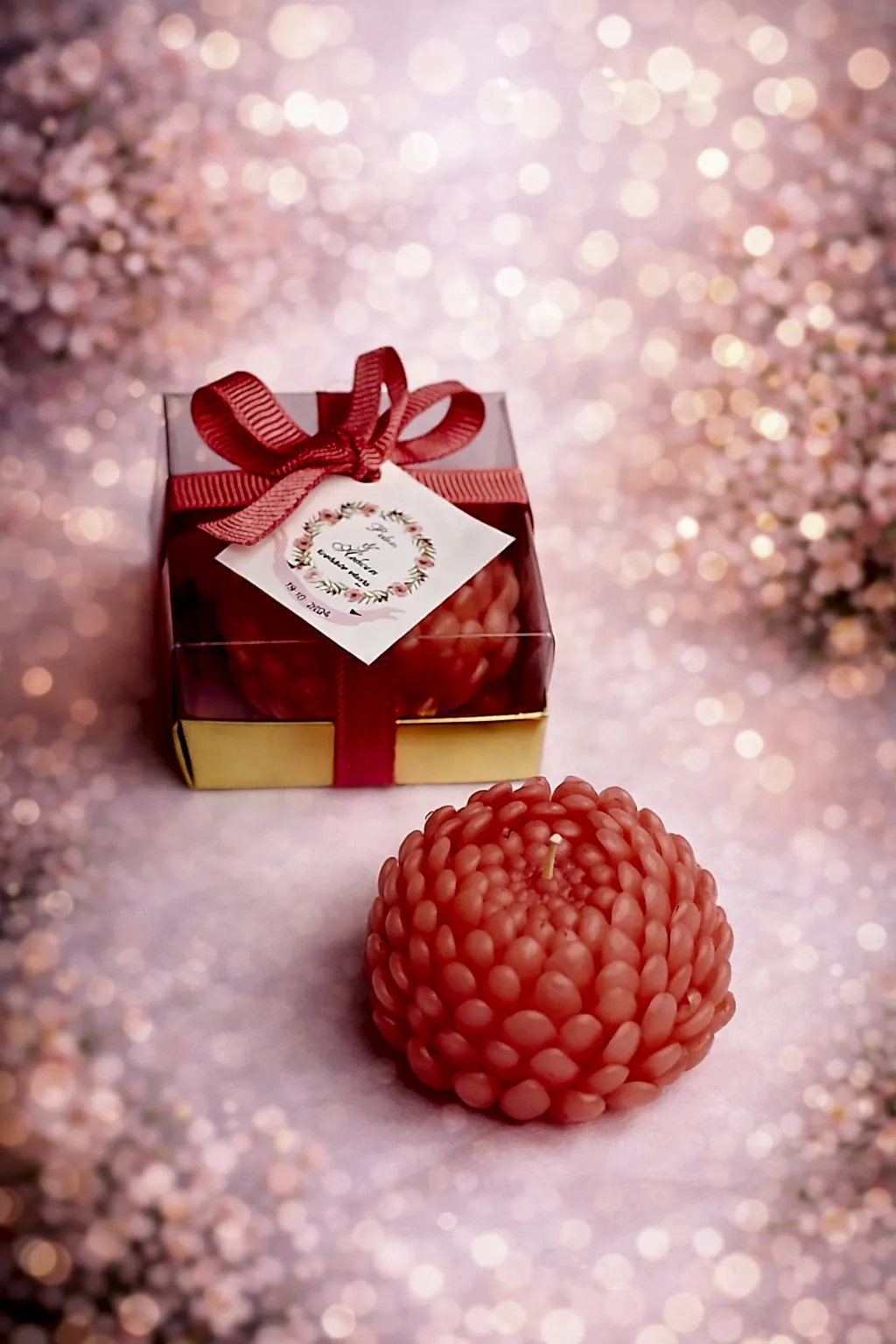 Sukulent Mum Model 15 