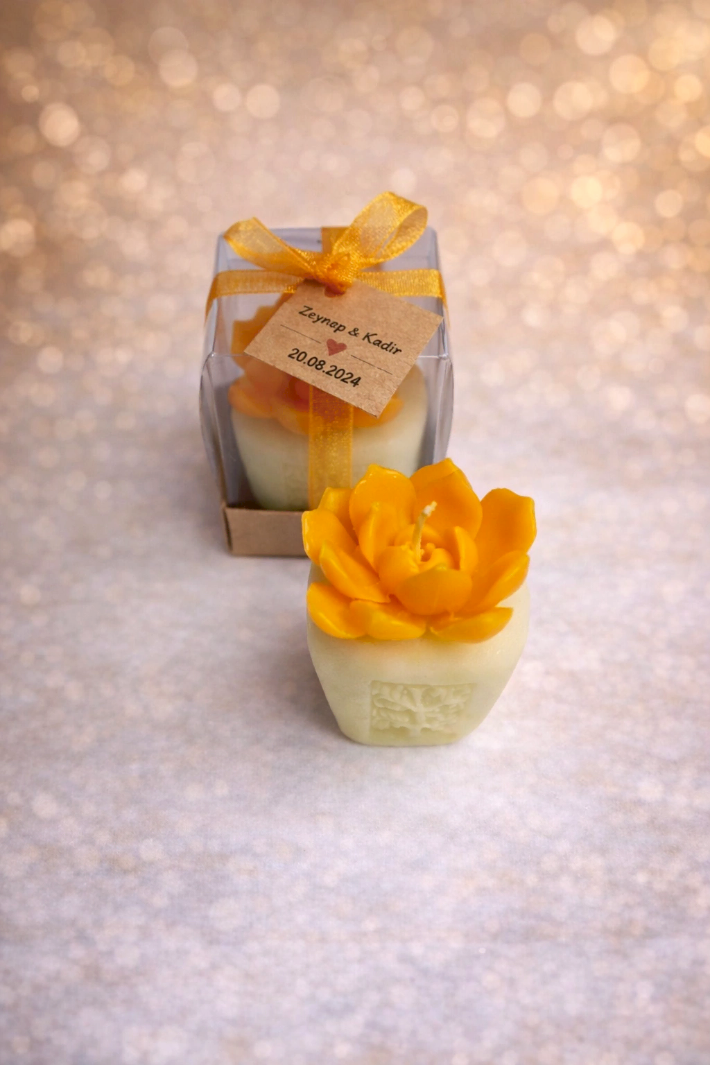 Sukulent Mum Model 7