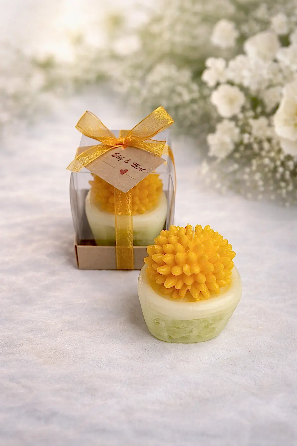 Sukulent Mum Model 2