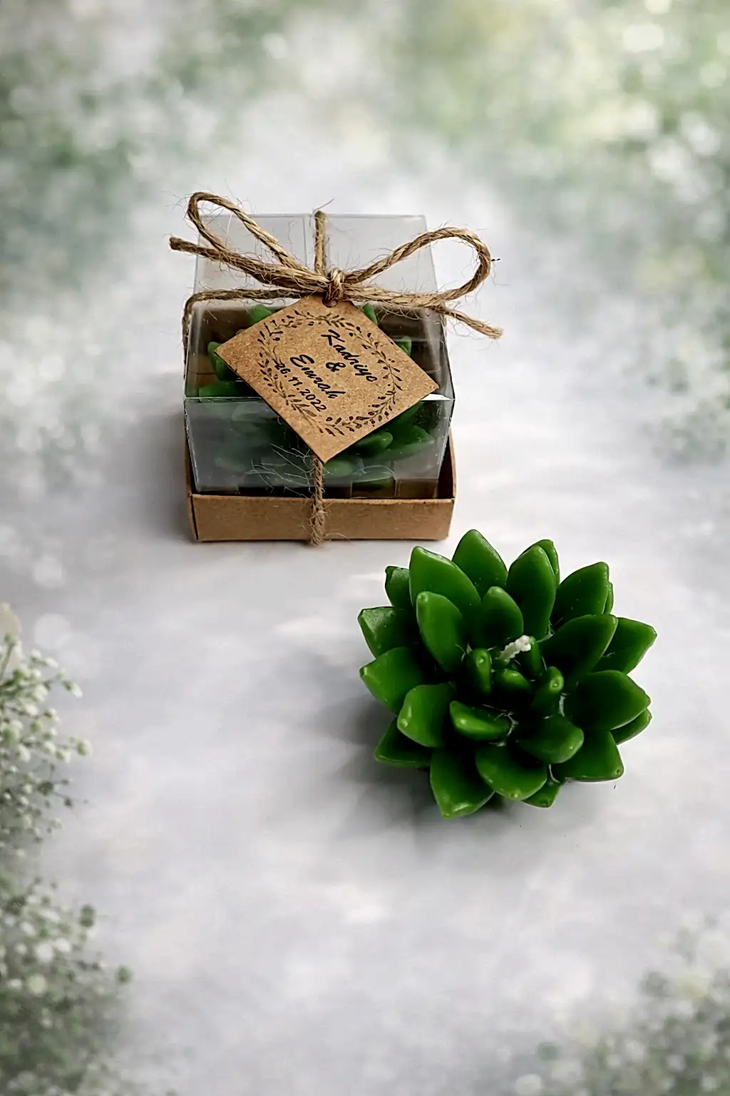 Sukulent Mum Model 12