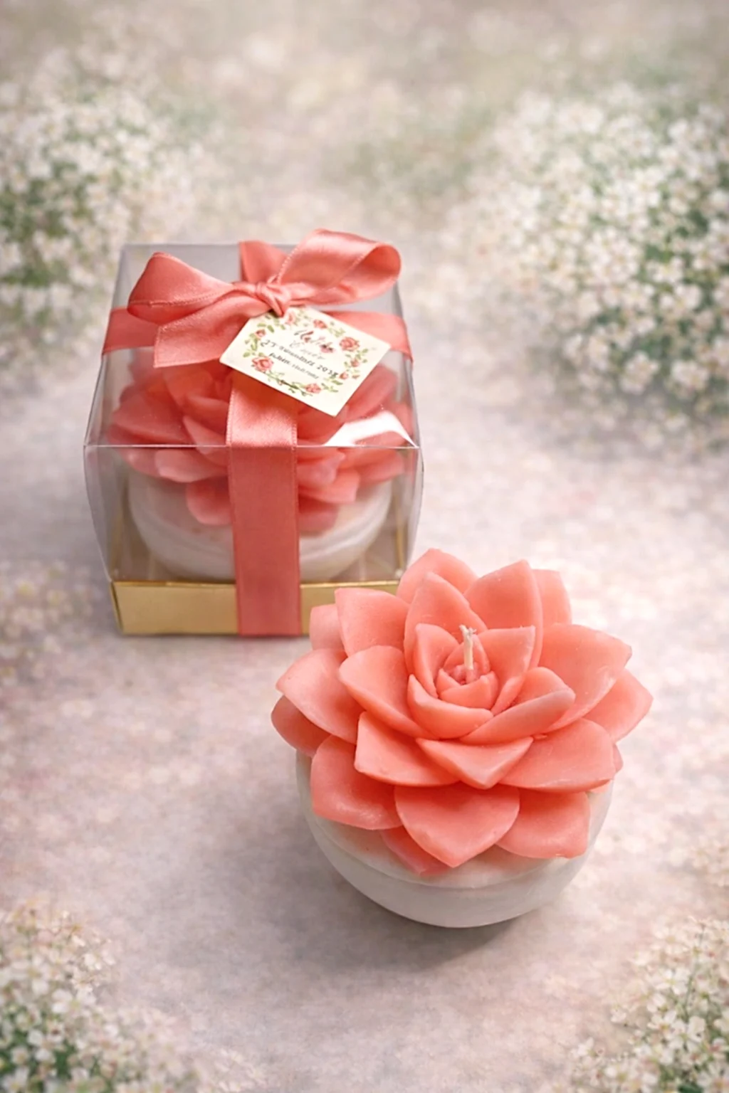 Büyük Boy Sukulent Mum Echeveria 