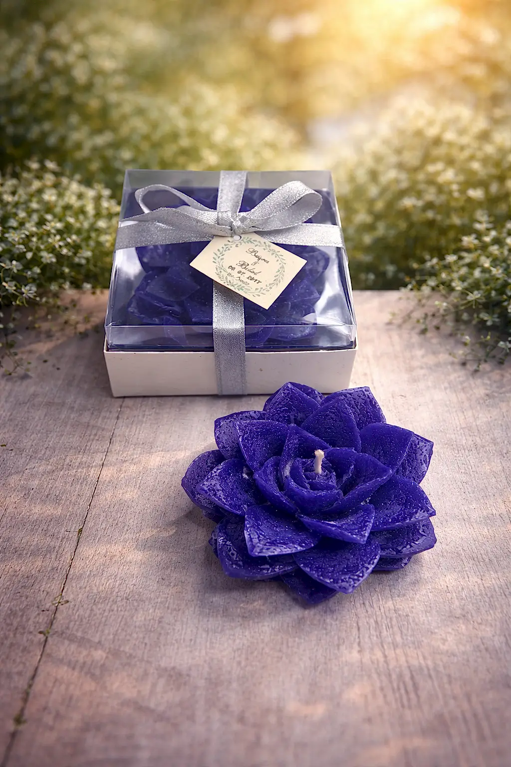 Sukulent Mum Model 8 