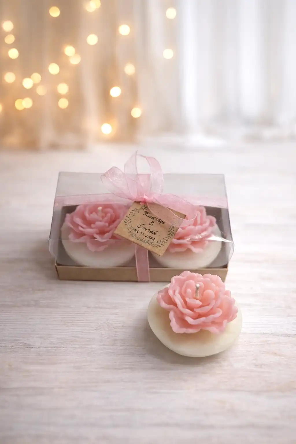 Sukulent Mum Model 13 İkili Set 