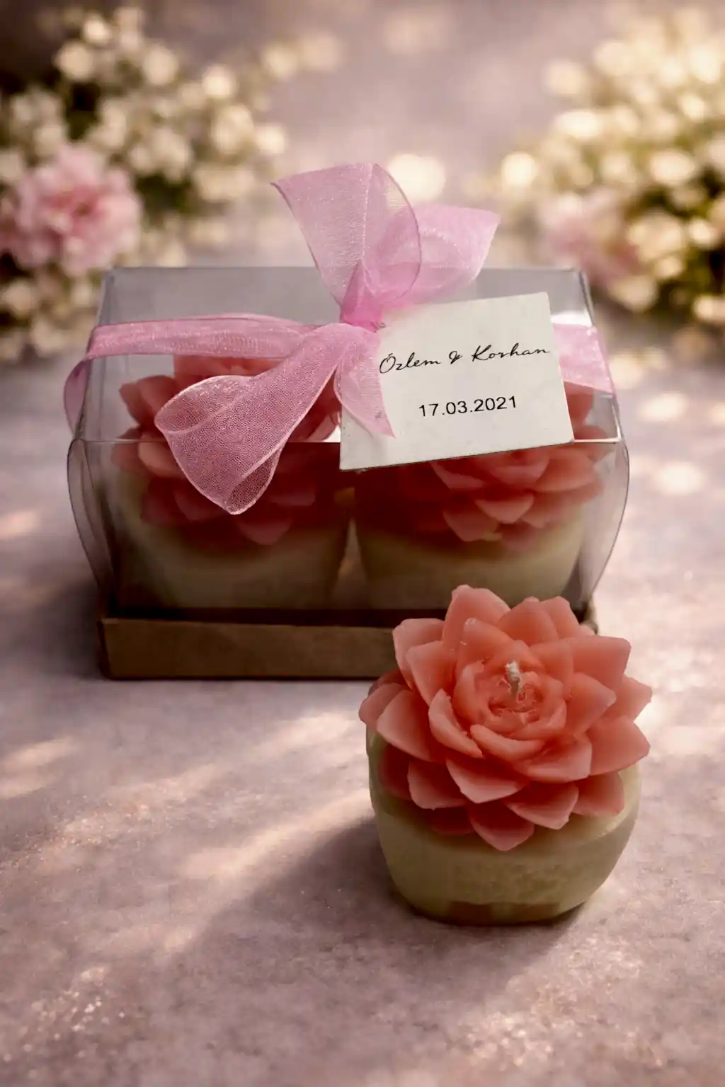 Sukulent Mum Model 4 İkili Set 