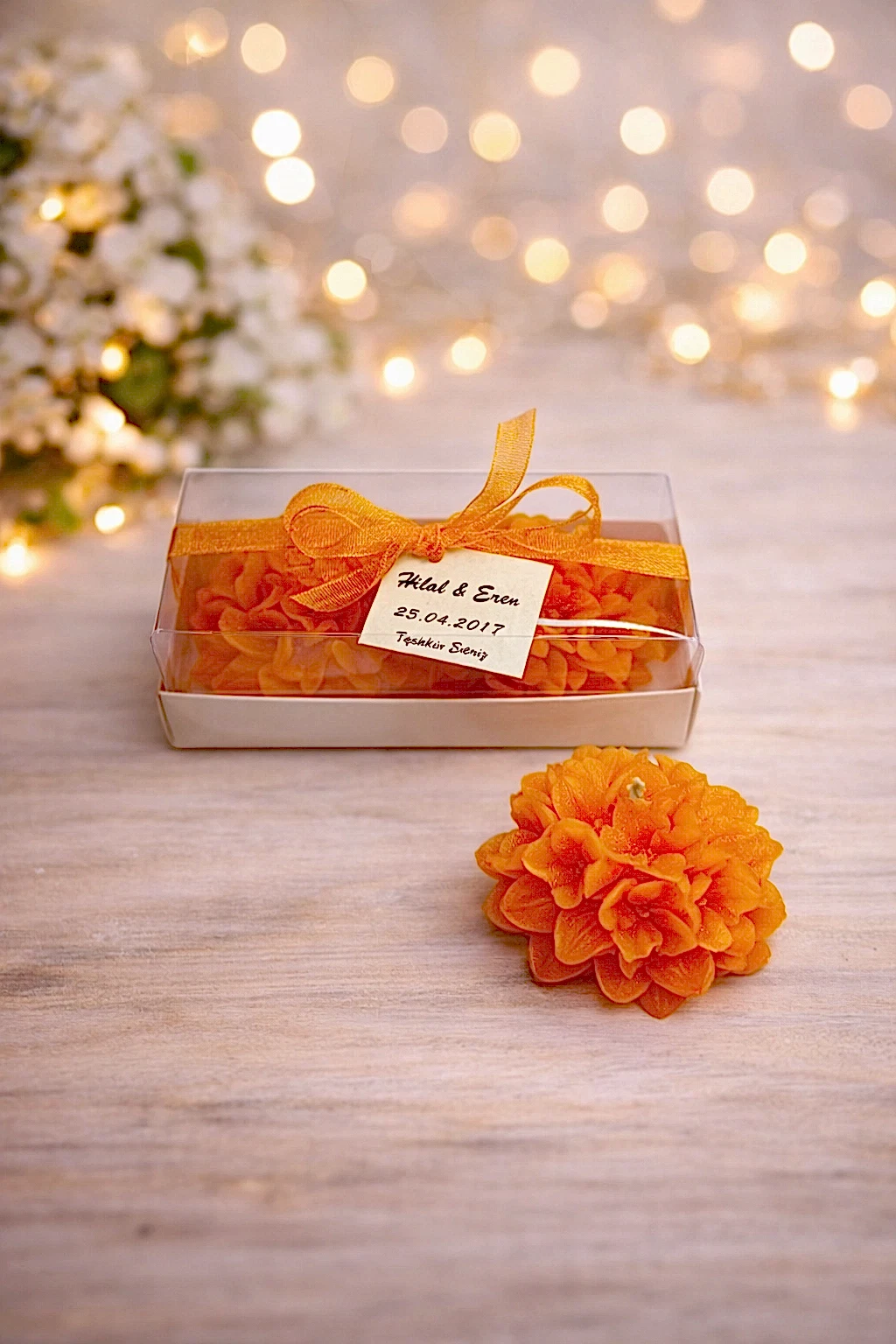 Ortanca Mum Model 1 İkili Set 