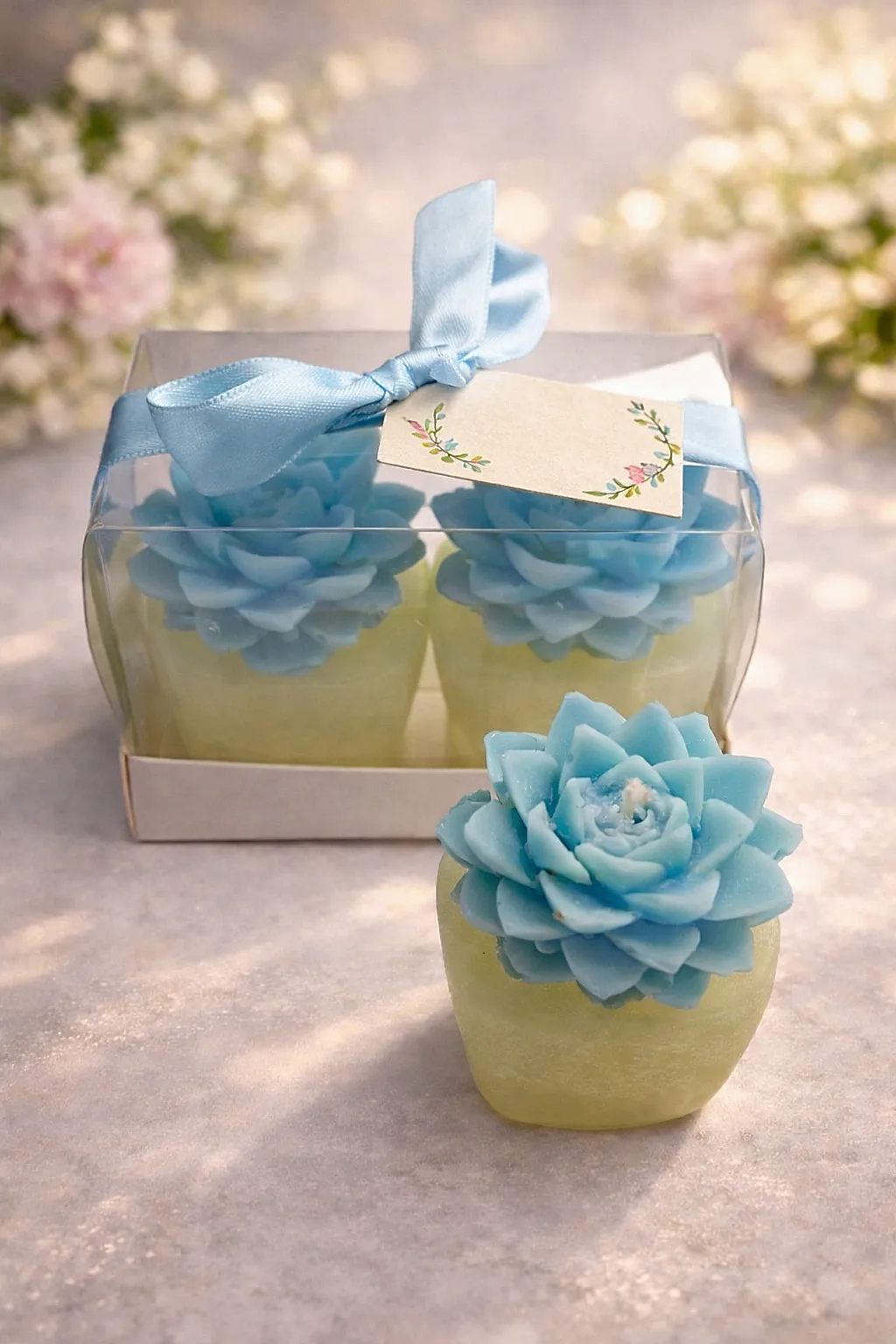 Sukulent Mum Model 4 İkili Set 