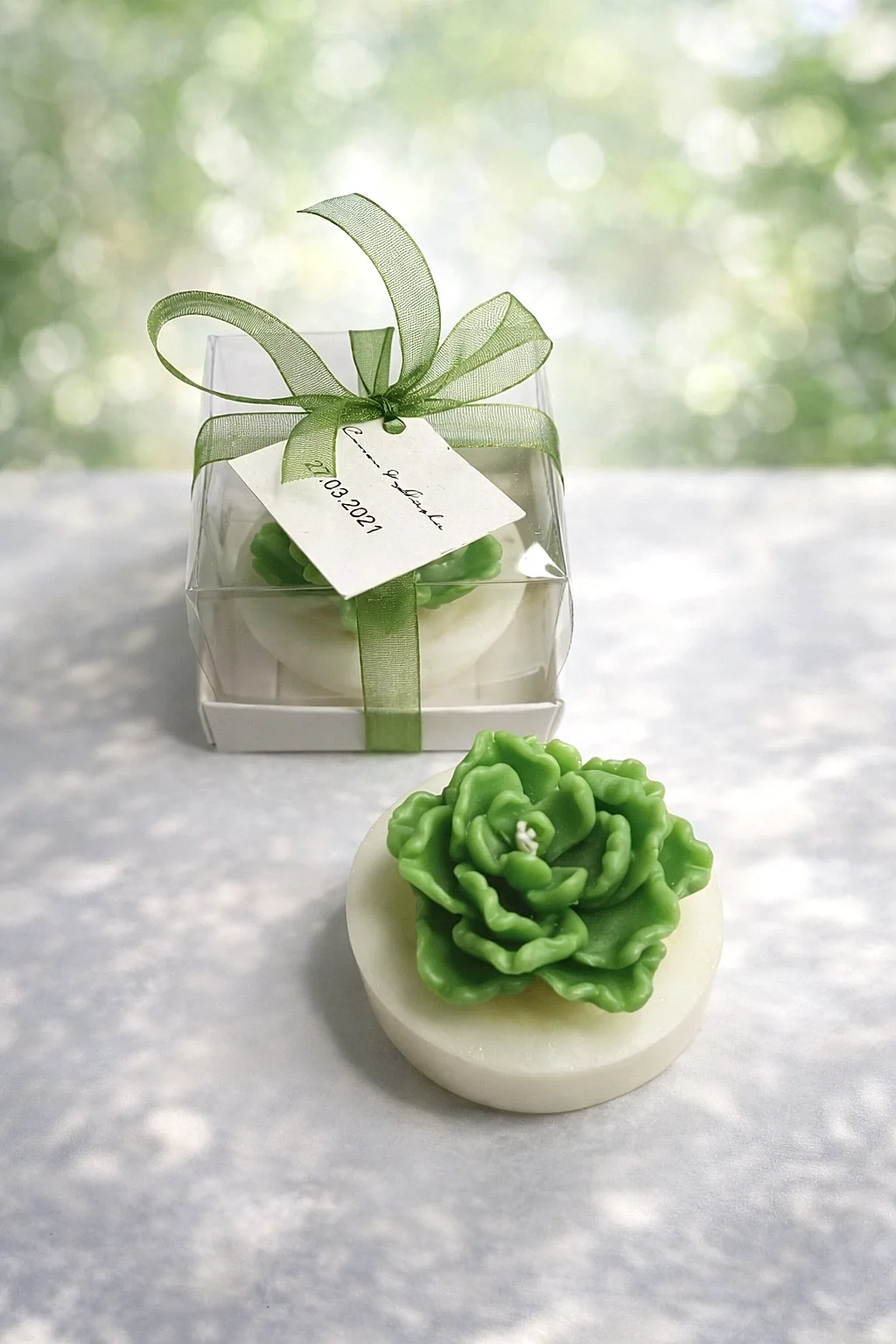 Sukulent Mum Model 13 