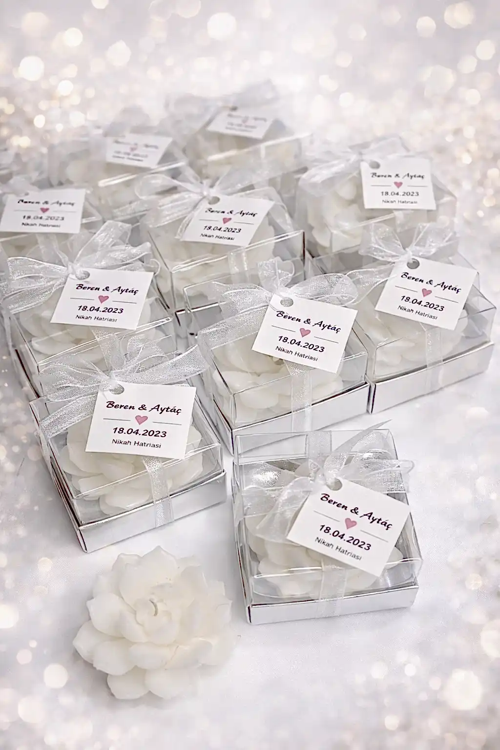 Sukulent Mum Model 10